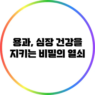 용과, 심장 건강을 지키는 비밀의 열쇠