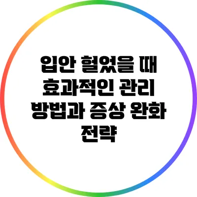 입안 헐었을 때 효과적인 관리 방법과 증상 완화 전략