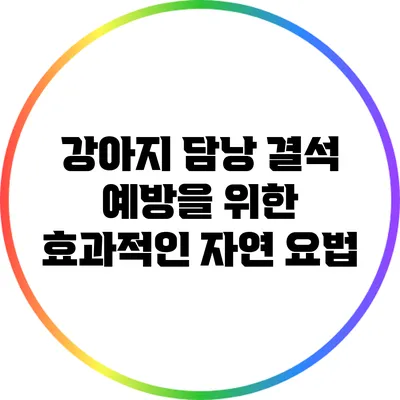 강아지 담낭 결석 예방을 위한 효과적인 자연 요법