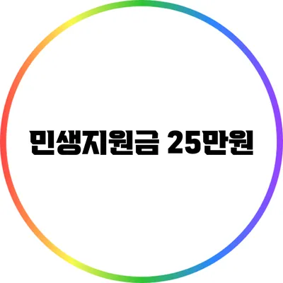 민생지원금 25만원