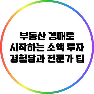 부동산 경매로 시작하는 소액 투자: 경험담과 전문가 팁