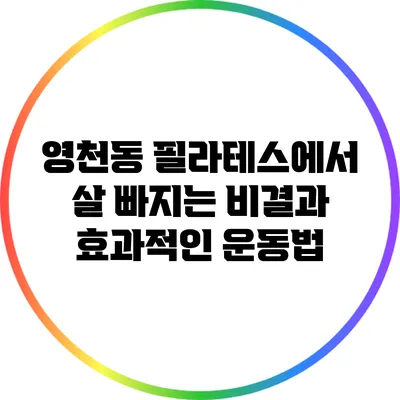 영천동 필라테스에서 살 빠지는 비결과 효과적인 운동법