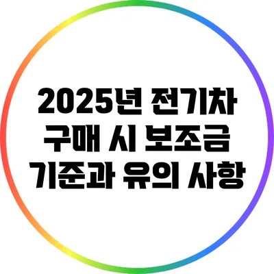2025년 전기차 구매 시 보조금 기준과 유의 사항