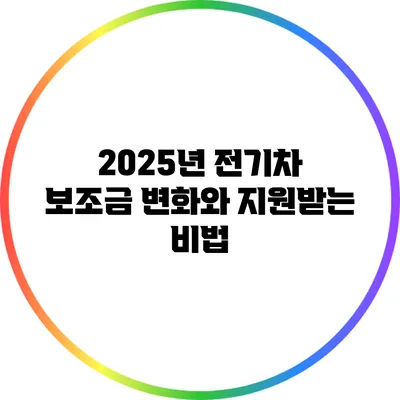 2025년 전기차 보조금 변화와 지원받는 비법