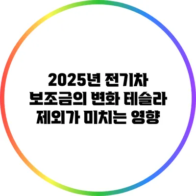 2025년 전기차 보조금의 변화: 테슬라 제외가 미치는 영향