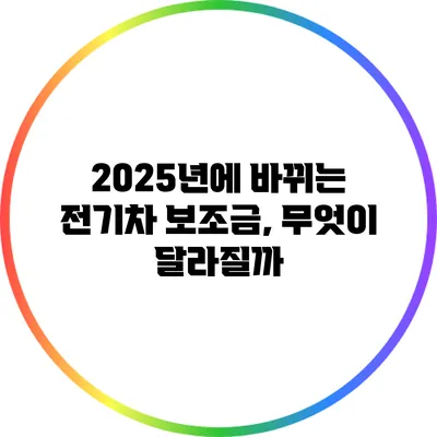 2025년에 바뀌는 전기차 보조금, 무엇이 달라질까?