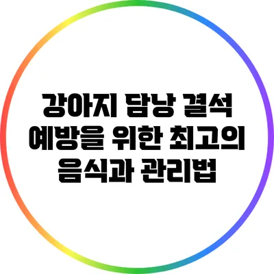 강아지 담낭 결석 예방을 위한 최고의 음식과 관리법