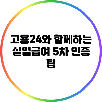 고용24와 함께하는 실업급여 5차 인증 팁