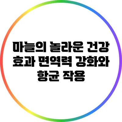 마늘의 놀라운 건강 효과: 면역력 강화와 항균 작용