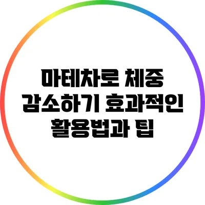 마테차로 체중 감소하기: 효과적인 활용법과 팁