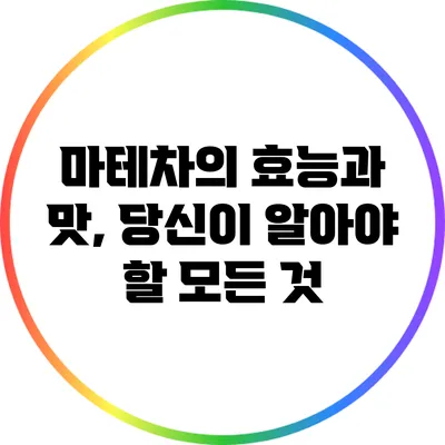 마테차의 효능과 맛, 당신이 알아야 할 모든 것