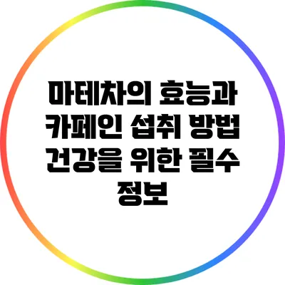 마테차의 효능과 카페인 섭취 방법: 건강을 위한 필수 정보