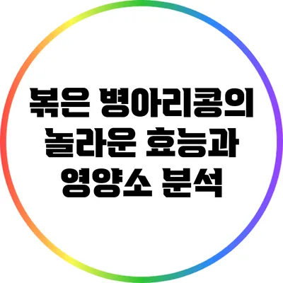 볶은 병아리콩의 놀라운 효능과 영양소 분석