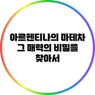 아르헨티나의 마테차: 그 매력의 비밀을 찾아서