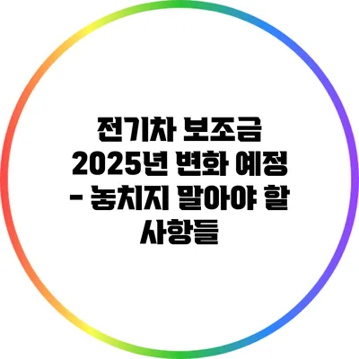 전기차 보조금 2025년 변화 예정 - 놓치지 말아야 할 사항들