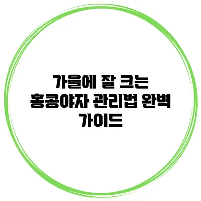 가을에 잘 크는 홍콩야자 관리법 완벽 가이드