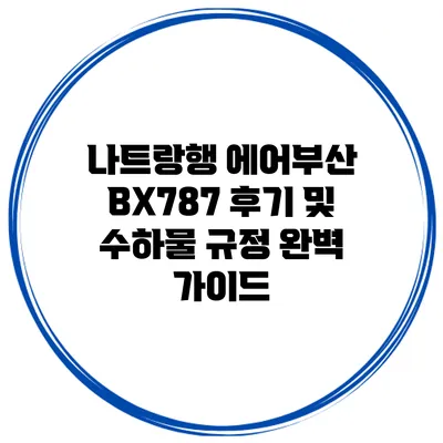 나트랑행 에어부산 BX787 후기 및 수하물 규정 완벽 가이드