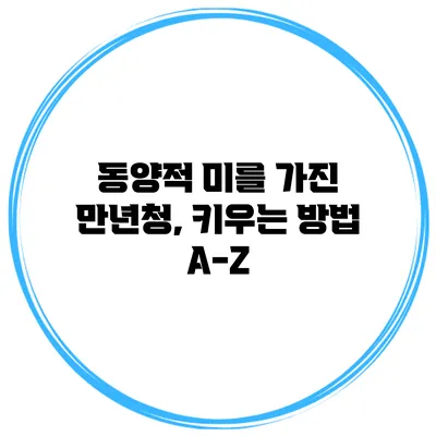 동양적 미를 가진 만년청, 키우는 방법 A-Z