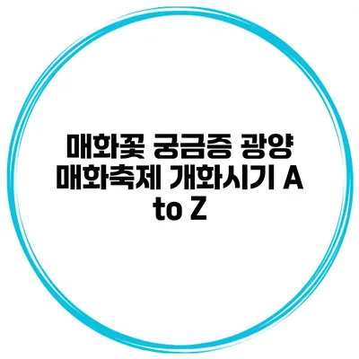 매화꽃 궁금증 광양 매화축제 개화시기 A to Z