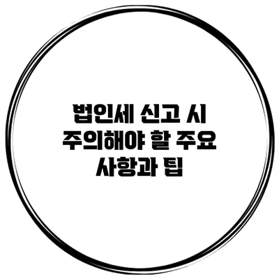 법인세 신고 시 주의해야 할 주요 사항과 팁