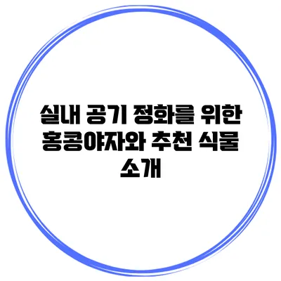 실내 공기 정화를 위한 홍콩야자와 추천 식물 소개