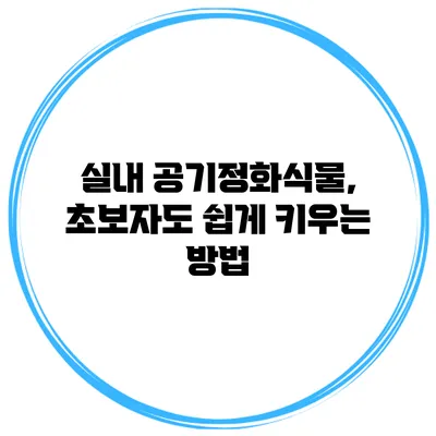 실내 공기정화식물, 초보자도 쉽게 키우는 방법