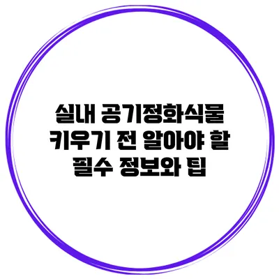실내 공기정화식물 키우기 전 알아야 할 필수 정보와 팁