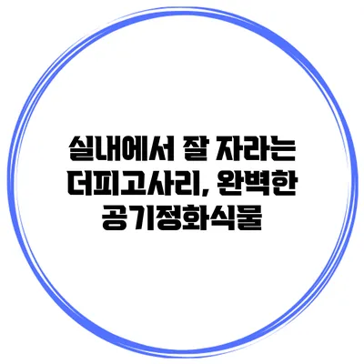 실내에서 잘 자라는 더피고사리, 완벽한 공기정화식물