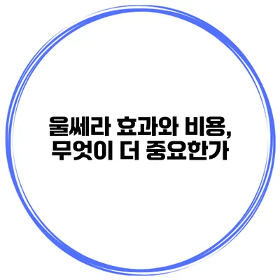 울쎄라 효과와 비용, 무엇이 더 중요한가?