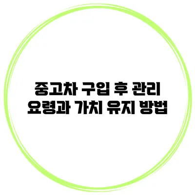 중고차 구입 후 관리 요령과 가치 유지 방법
