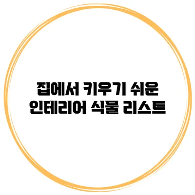 집에서 키우기 쉬운 인테리어 식물 리스트