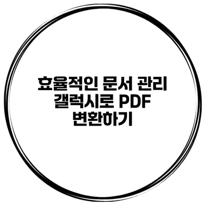 효율적인 문서 관리 갤럭시로 PDF 변환하기