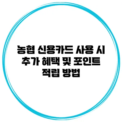 농협 신용카드 사용 시 추가 혜택 및 포인트 적립 방법
