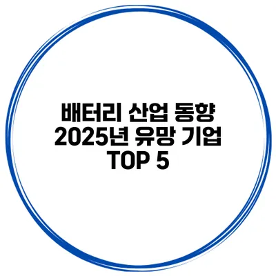 배터리 산업 동향 2025년 유망 기업 TOP 5