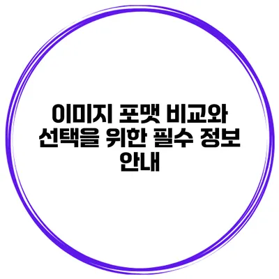 이미지 포맷 비교와 선택을 위한 필수 정보 안내