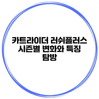 카트라이더 러쉬플러스 시즌별 변화와 특징 탐방